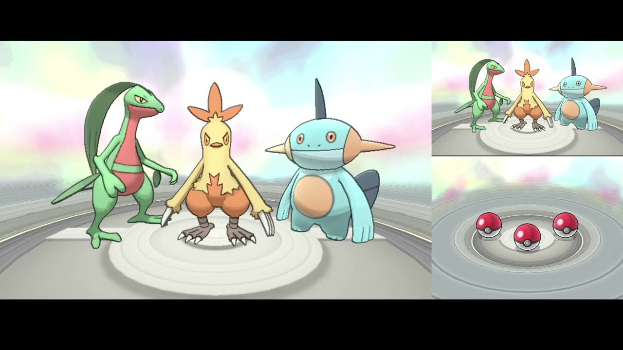 Pokémon Omega Ruby ONLY Birds - Part 1