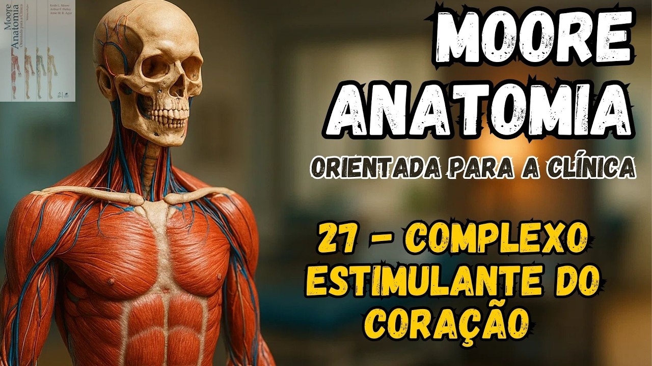 MOORE  - Anatomia Orientada para a Clínica  - 27   COMPLEXO ESTIMULANTE DO CORAÇÃO