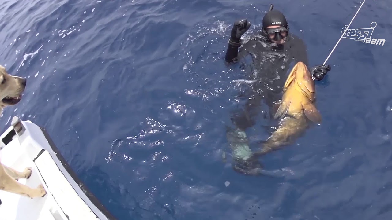 Pesca Mero profundo y denton de acantildo (La Meticulosidad)