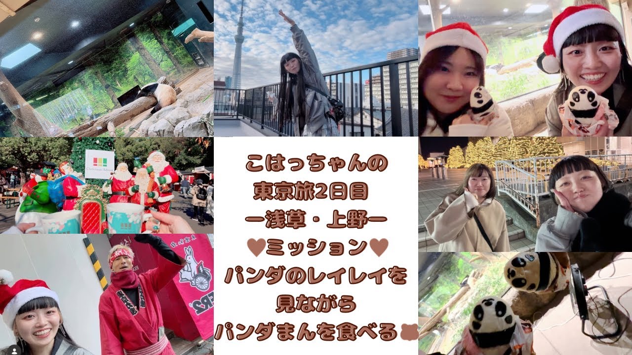 こはっちゃんの東京旅2日目 ー浅草・上野ー