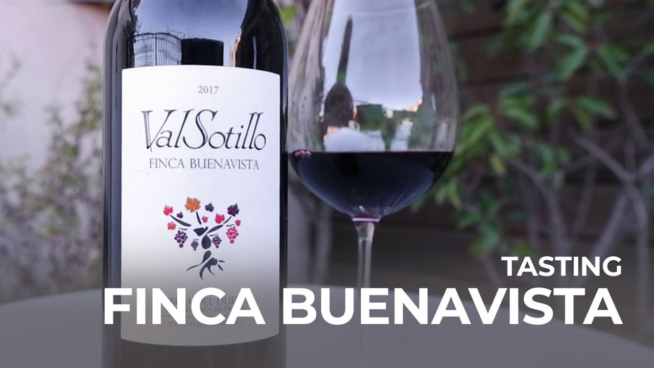 Wine Tasting - Valsotillo Finca Buenavista
