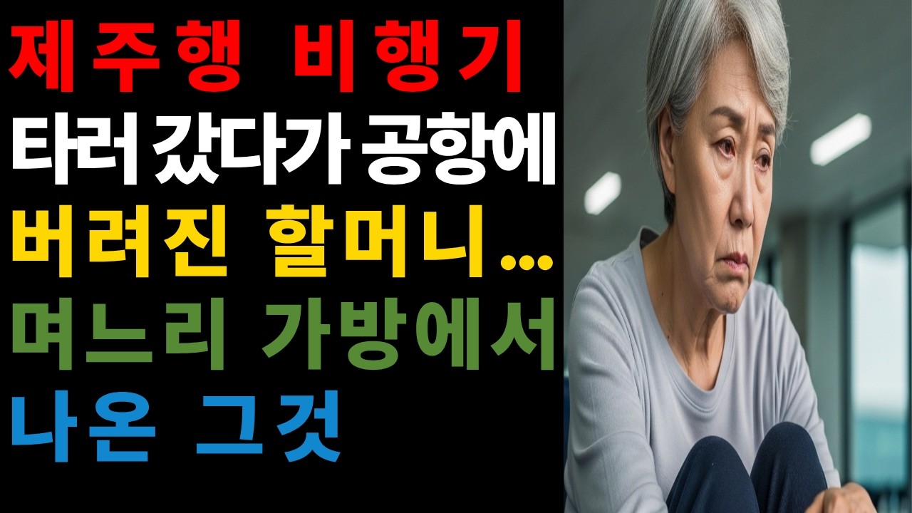 제주행 비행기 타러 갔다가 공항에 버려진 할머니… 며느리 가방에서 나온 그것