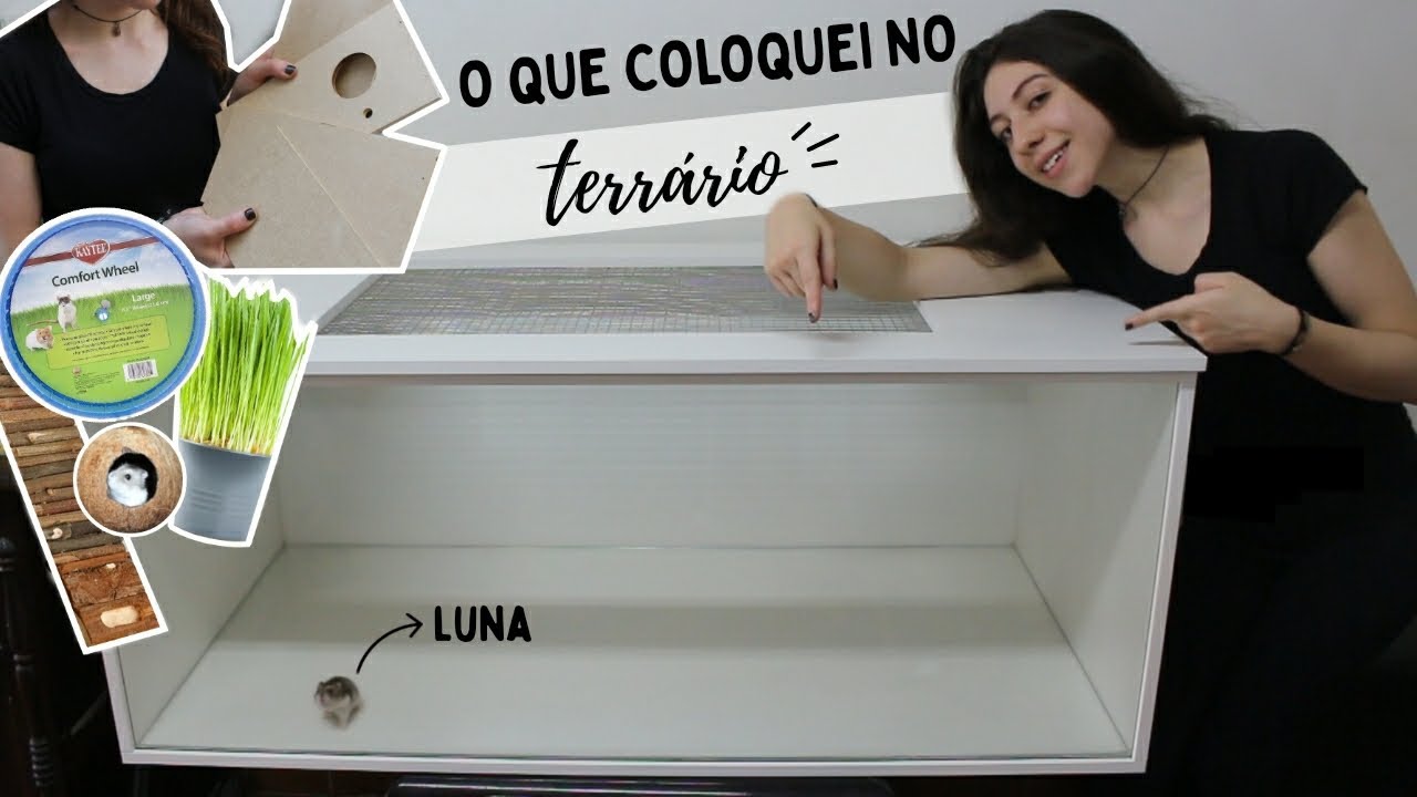 Preparações para o terrário da minha hamster!