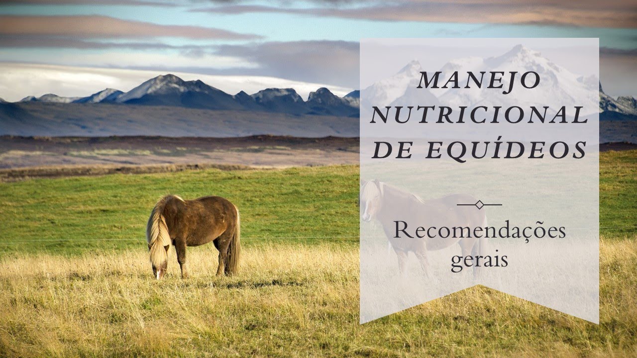 Equideocultura e Agroecologia - Aula 9 - Manejo Nutricional #3