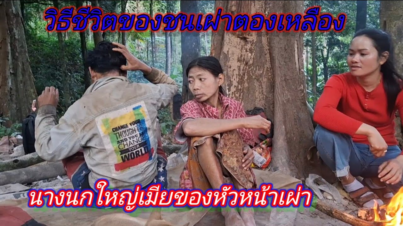 วิถีชีวิตของชนเผ่าตองเหลือง #นางนกใหญ่ ภรรยาของหัวหน้าเผ่าตองเหลือง #บ้านที่อยู่อาศัย อยู่ในป่าดงดิบ
