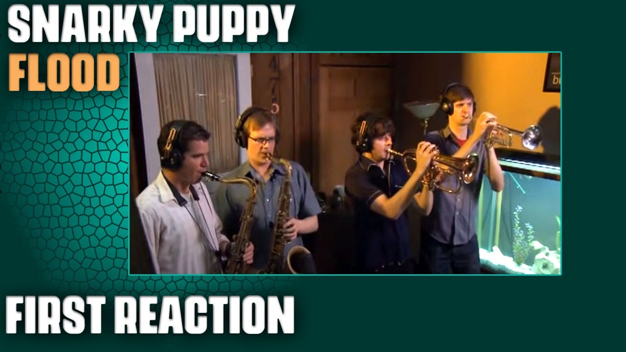 Musician/Producer Reacts to 