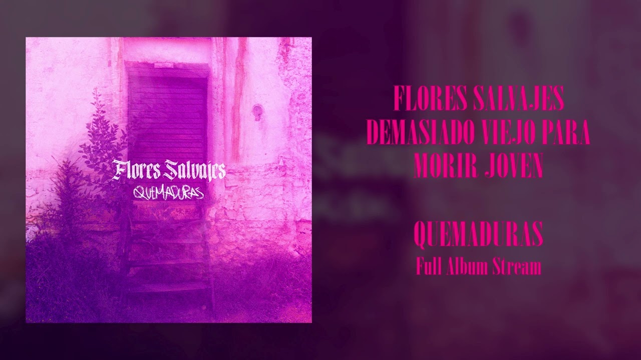 Flores Salvajes - Quemaduras (Full Album - 2025) [grunge/punk/noise/shoegaze]