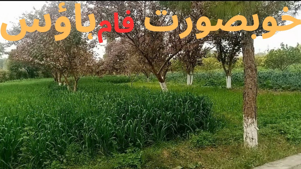 خوبصورت فام ہاؤس اسلام آباد