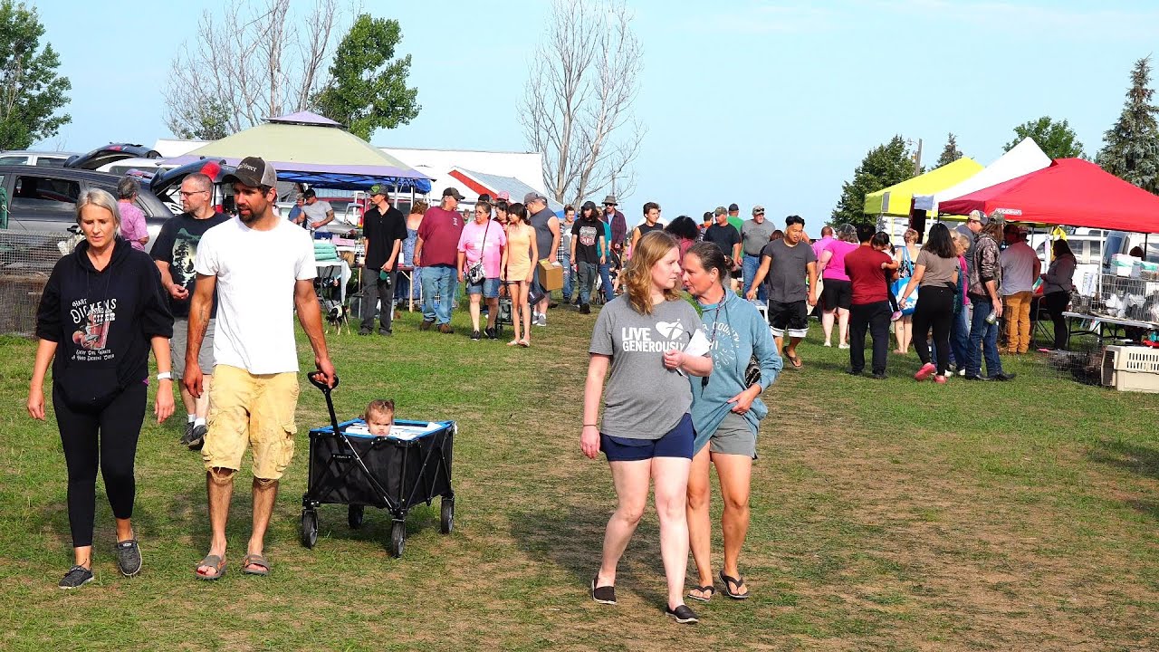 Amherst,Wisconsin/ PK Swap Animal Sale July 22nd,2023