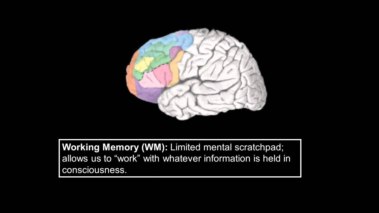 Learning and Performance in School: Attitudes, Anxiety, and Success under Stress