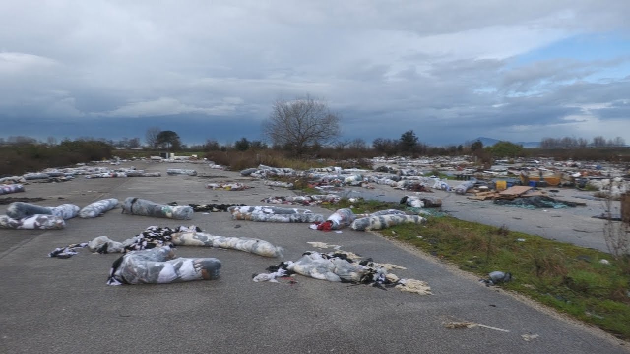 Broccoli, fragole e amianto: il reportage tra le discariche