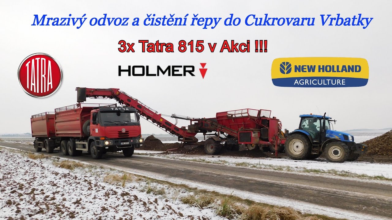 !!! 3x Tatra 815 v akci !!! Řepná kampaň 2021 - Odvoz řepy | New Holland T6020 + Holmer RRL 200 eco