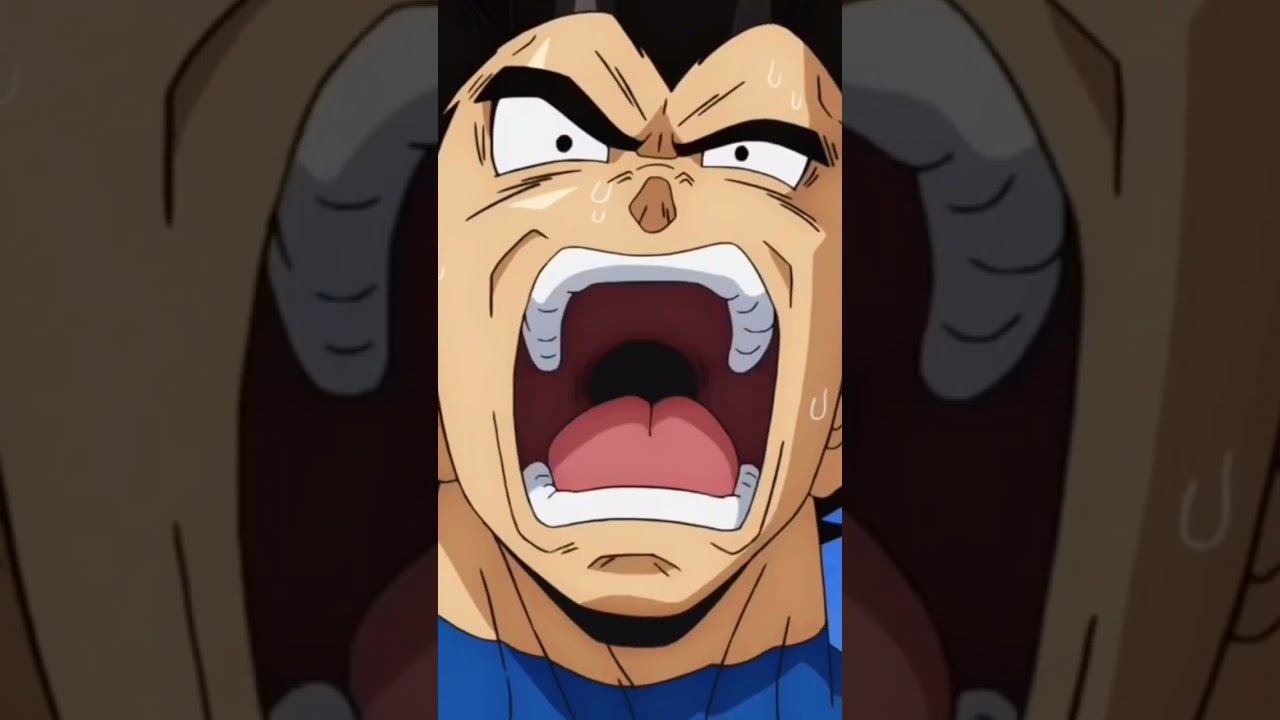 King Vegeta | Midnight.         #outaku #otaku #fyp