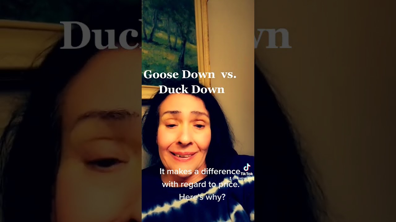 GOOSE DOWN versus DUCK #down .  What is the difference?