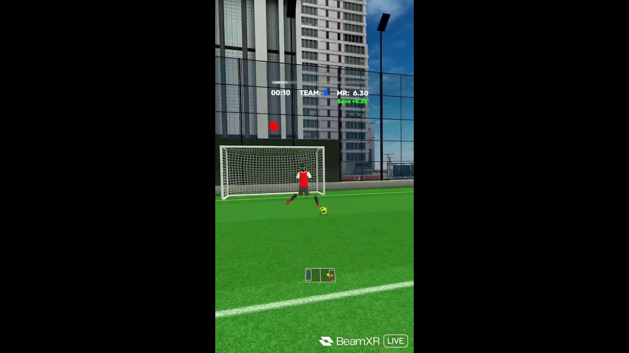 PLAYING VRFS