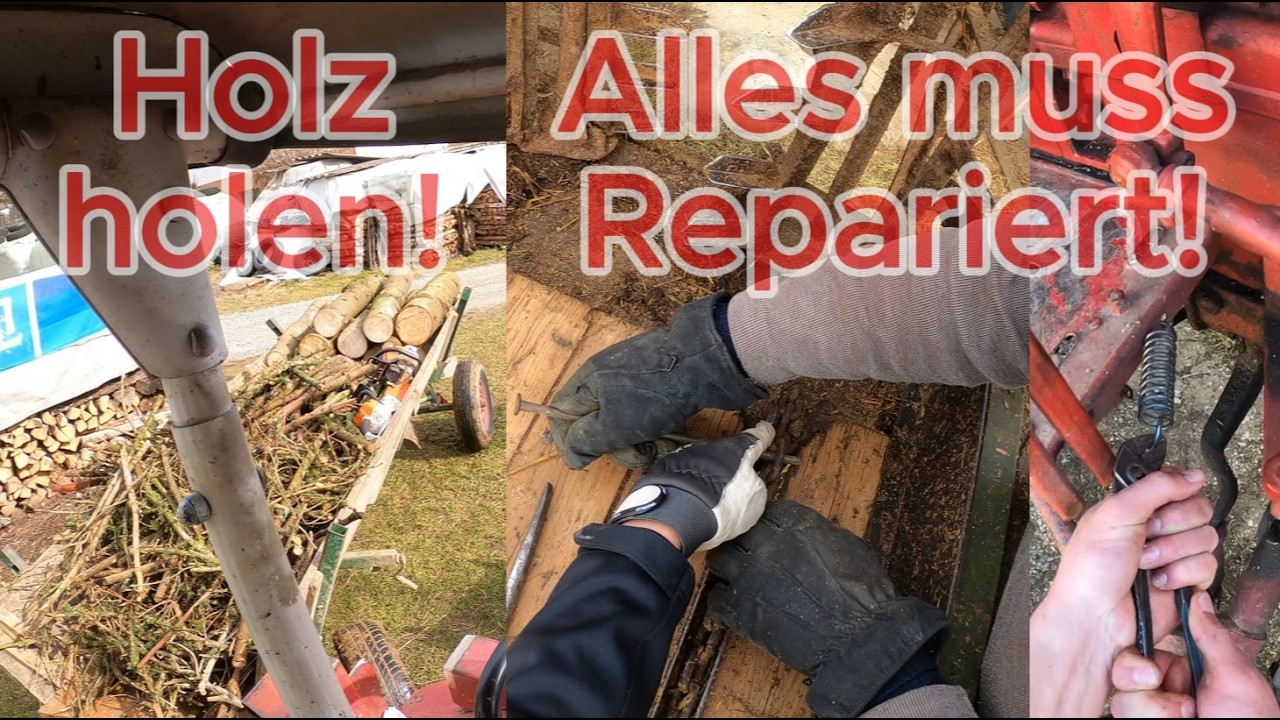Miststreuer reparieren🛠️ \ Holz aufladen🪵 \ Bremspedal reparieren🛠️ \ IHC 353 🚜