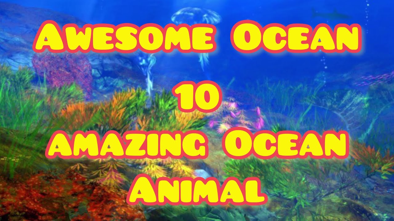 Awesome Ocean (10 Amazing Ocean Animals)