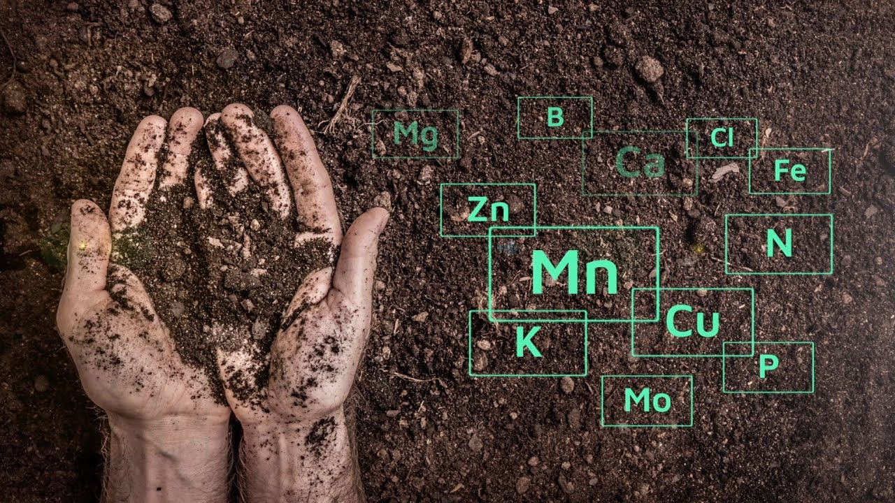 Earth On The Edge - A Clean Seed Capital Documentary