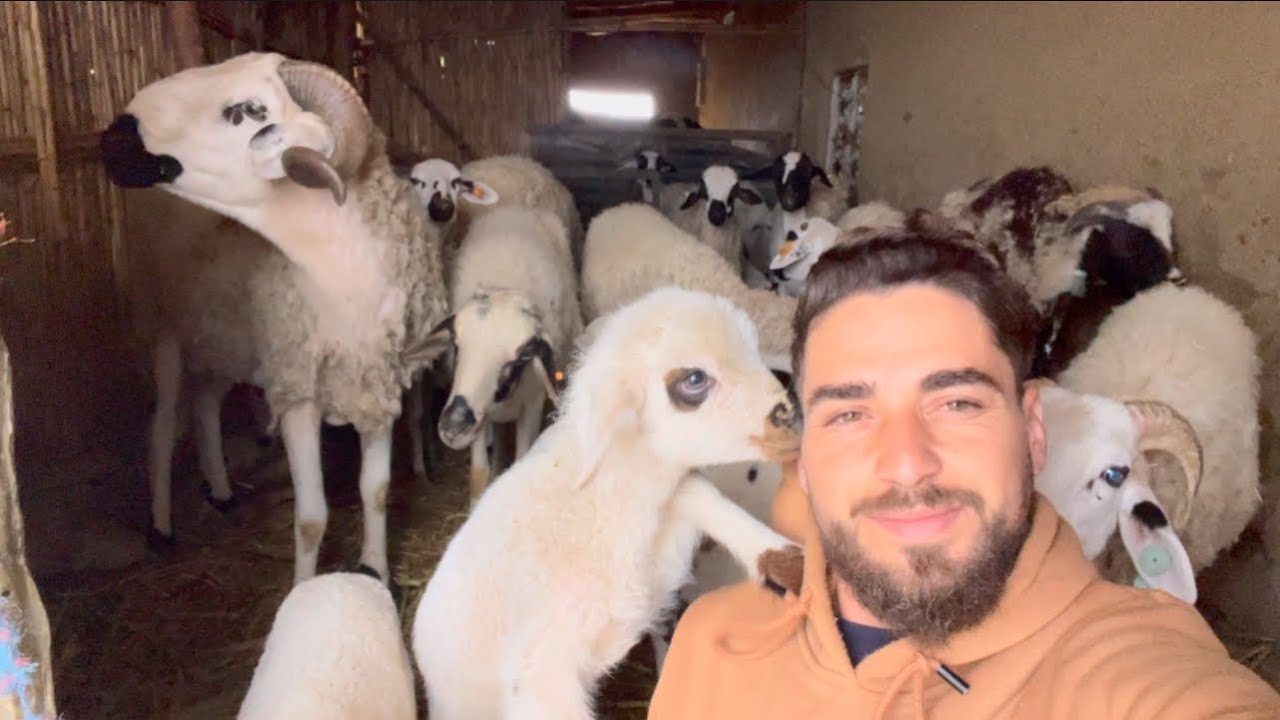 راضية جات عندنا  شتاء بدات   غرسنا بطاطة  متسخاوش بهاد الجمال ديال  الخريف🥰 