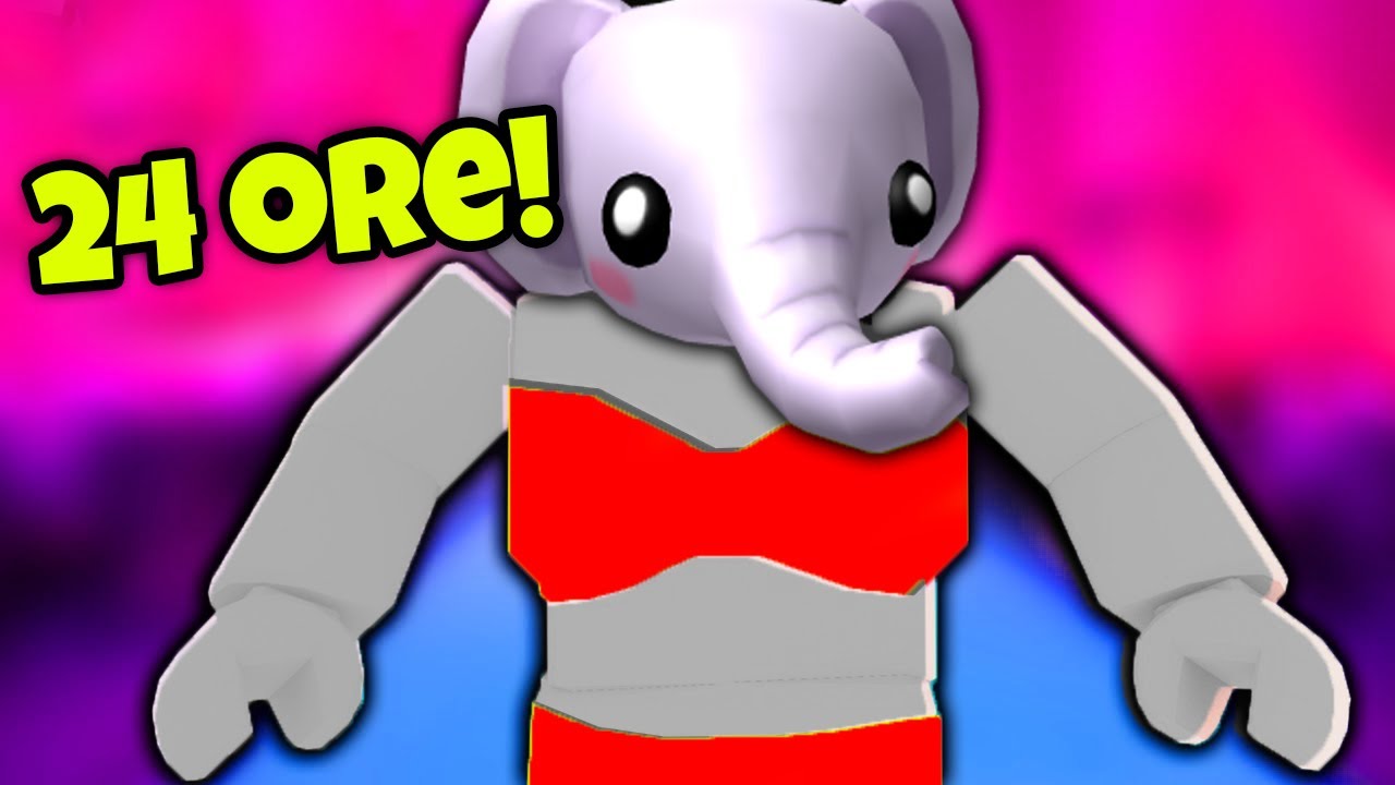 24 DE ORE ELEFANT ! Bravo, ai Stil !