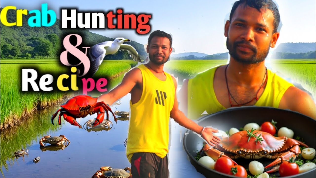 Crab hunting video & Recipec🦀 | crab recipe | hunting video 