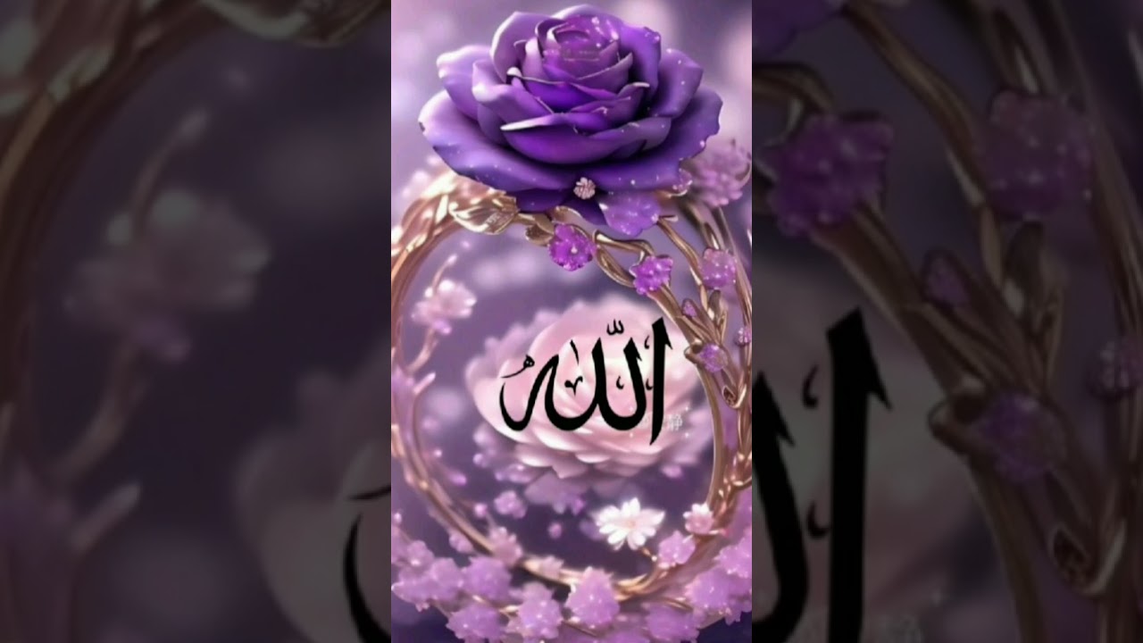 jashna AHMAD Rasool Allah hi Allah #islamicvideo #viral #viralvideo #islamicstatus #islamic #allah 🕋