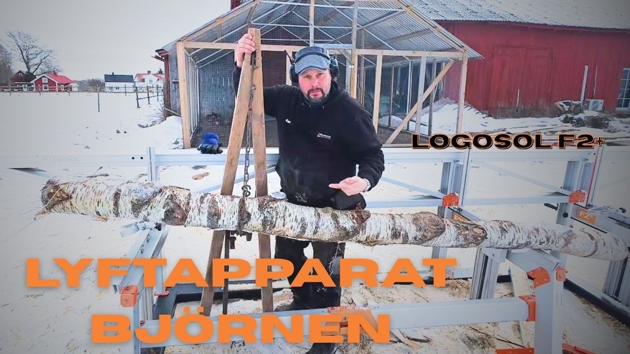 Kan björnen vara en lösningen?