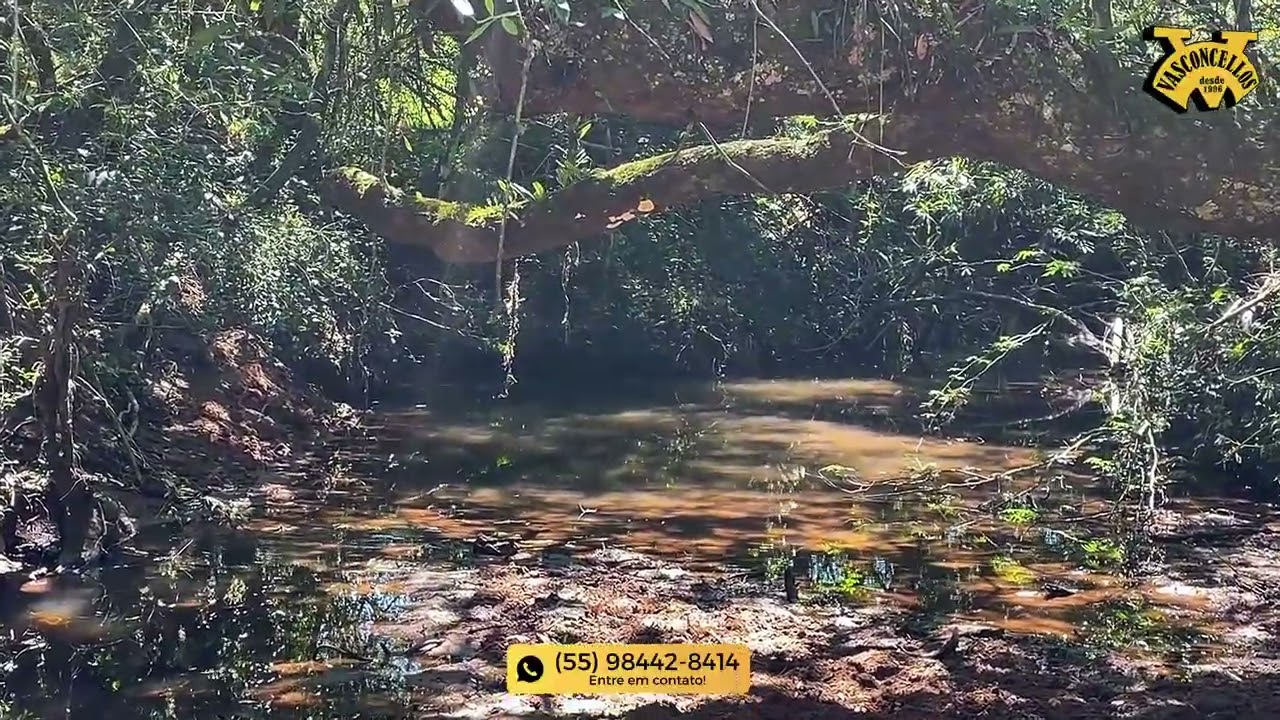 VENDE-SE ÁREA RURAL NO PAMPA GAÚCHO - 212 Ha (R$ 9.350/Ha)