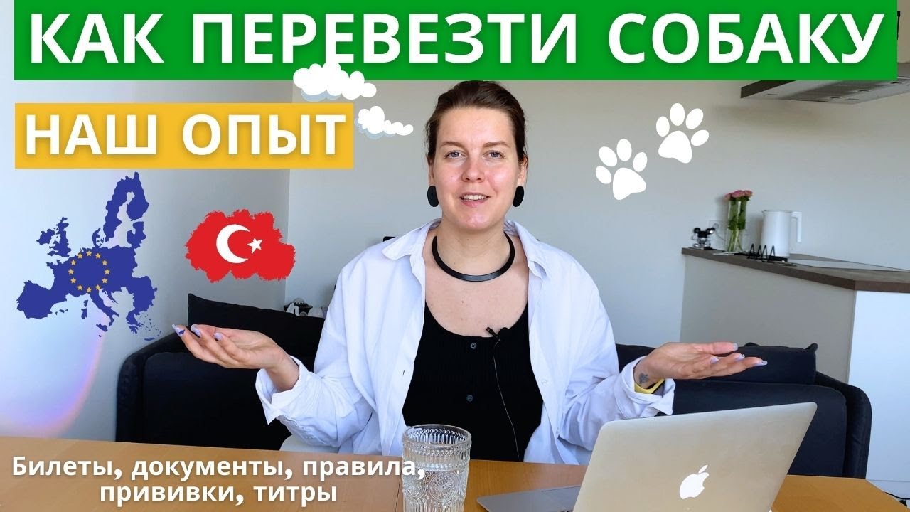 Как перевезти собаку в Европу (на самолете и на машине). Правила, прививки, документы.
