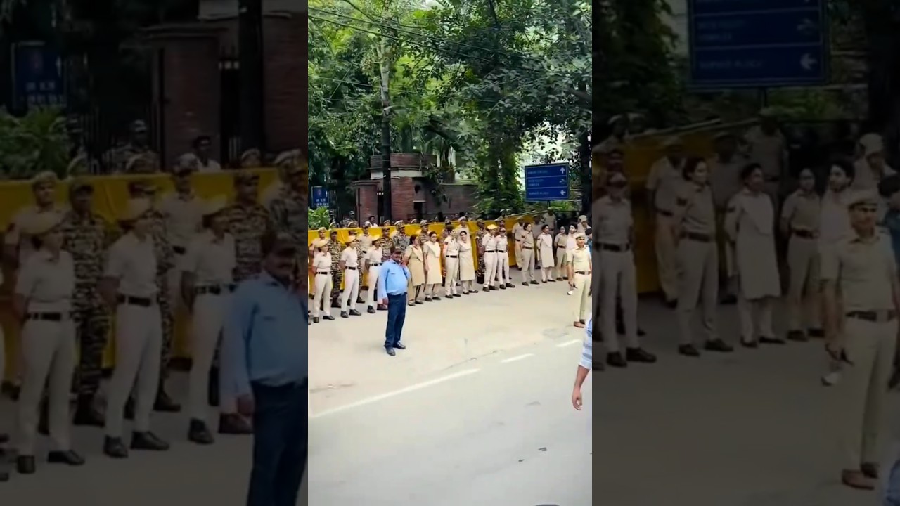 Aryan maan Delhi university #northcampus #delhiuniversity #southcampus #masoomsharma #elvishyadav