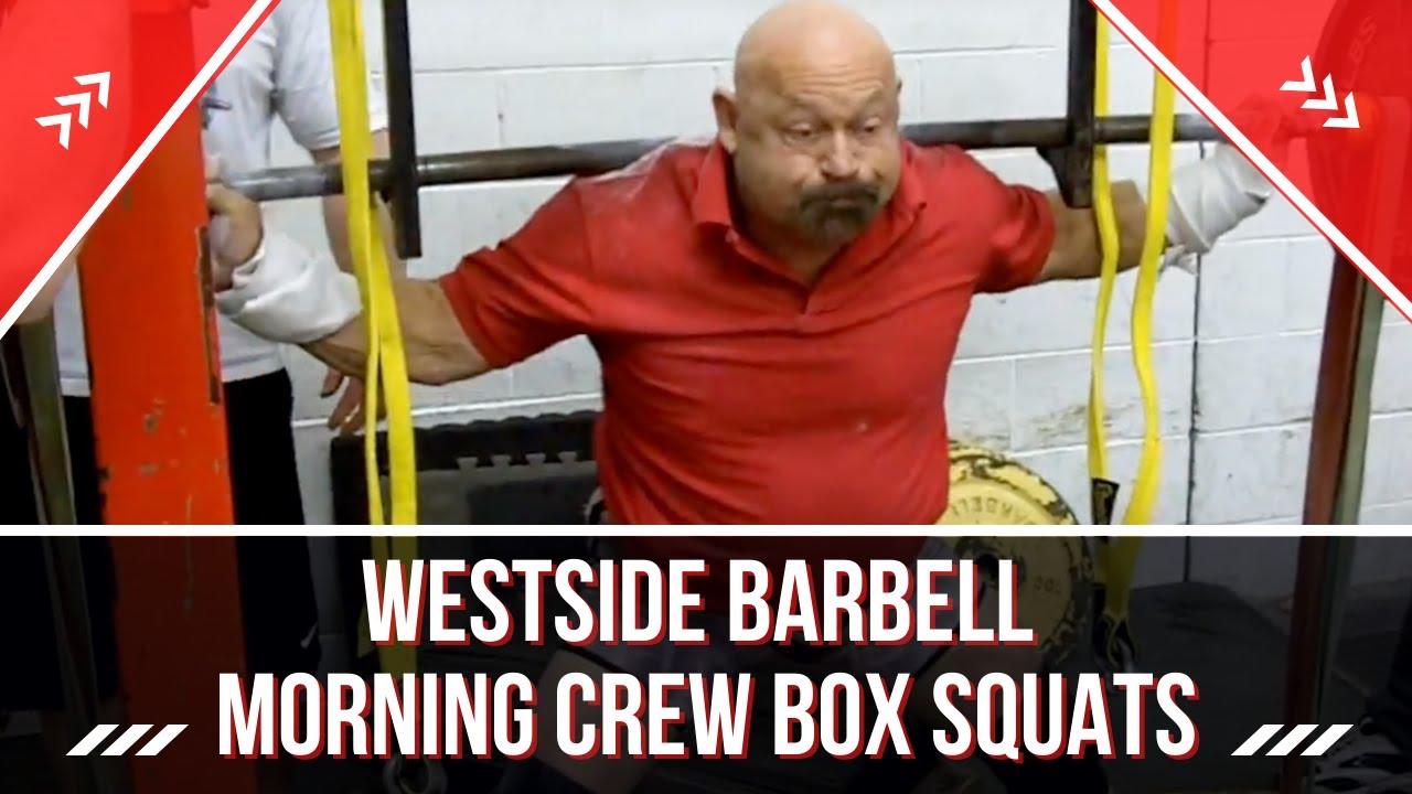 Westside Barbell Morning Crew Box Squats