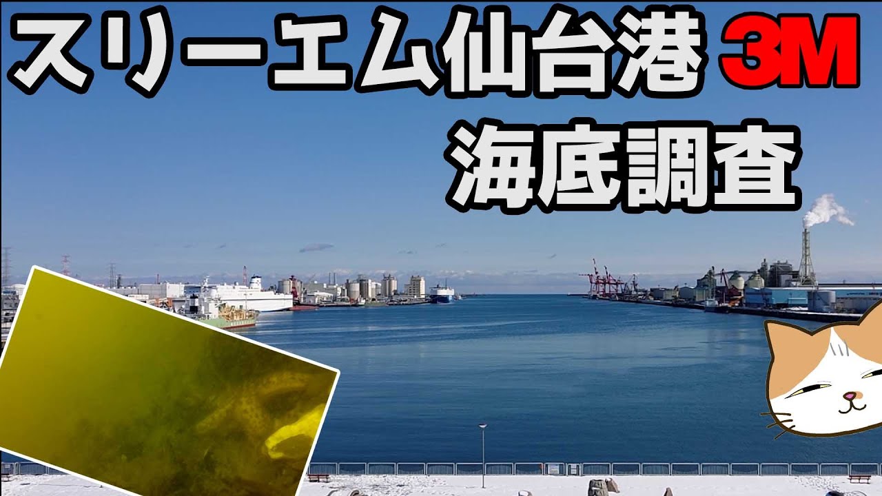 スリーエムパーク仙台港の真実。人気の釣り場に水中カメラ沈めてみた！【宮城県仙台市】