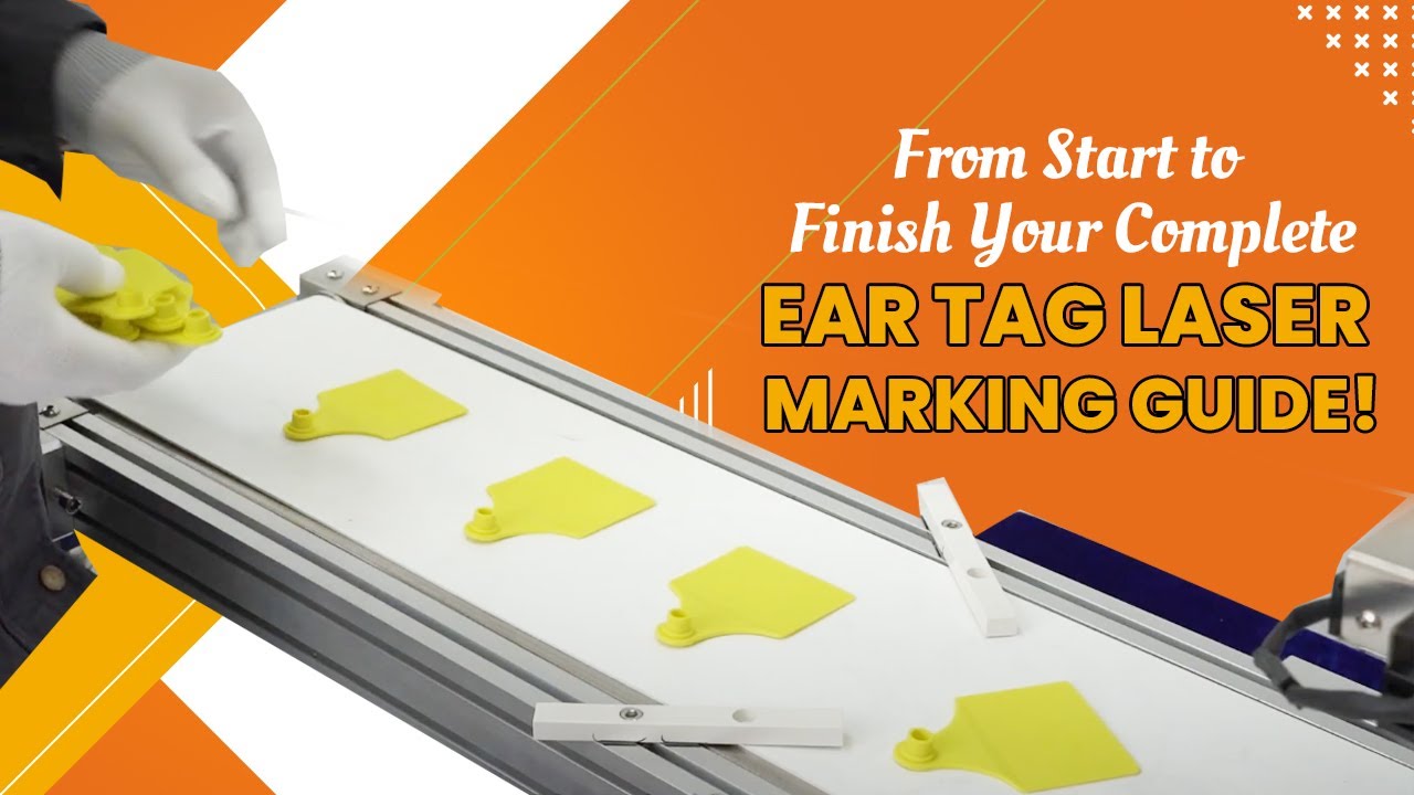 🌟Step-by-Step Guide to Master Ear Tag Laser Machine!🌟