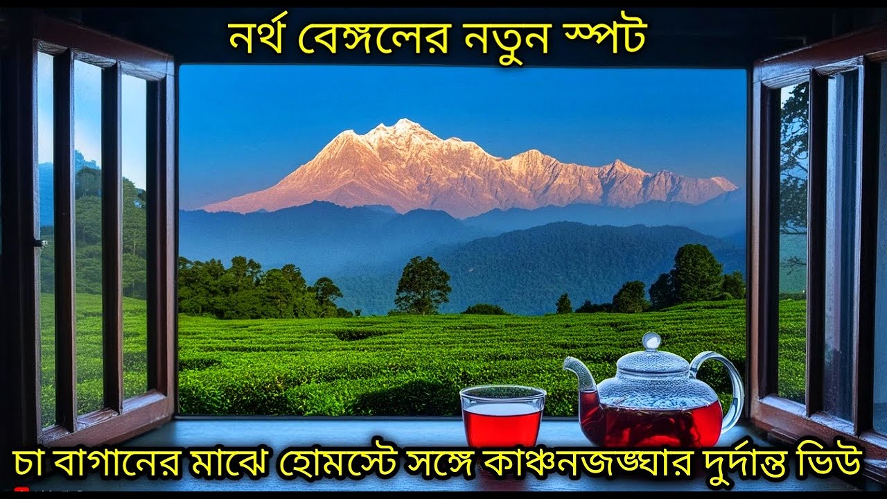 এই গরমে এক টুকরো স্বর্গ !  হোমস্টে থেকেই কাঞ্চনজঙ্ঘা। নদী। চা বাগান। জঙ্গল।