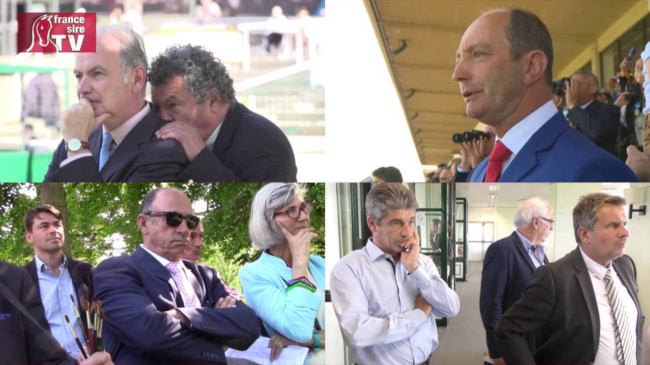Grand Steeple Chase 2018 : On The Go, Royan et son univers impitoyable