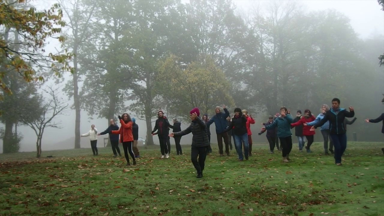 Tai Chi - Les 24 Postures : Brosser le genou