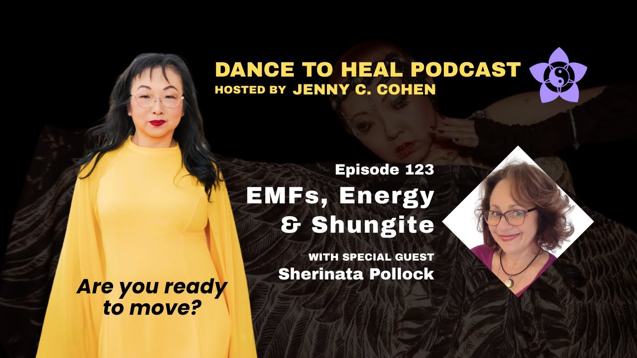 DTH 123 | EMFs, Shungite, & Energy with Special Guest Sherinata Pollock