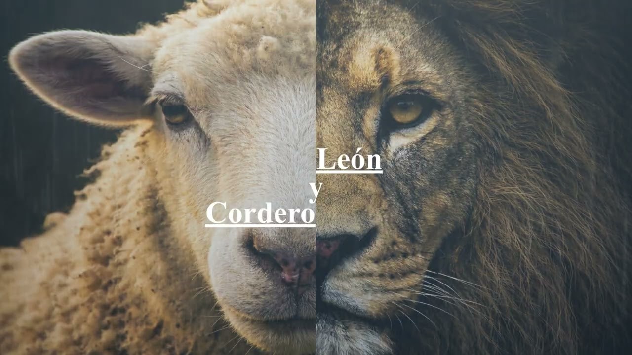 LEÓN Y CORDERO | Versión Extendida | Dios que pelea por ti y te ama sin medida 🦁🐏🤍
