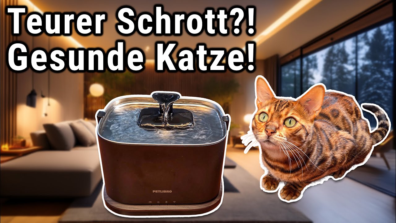 Petlibro Dockstream 2 – Der neue smarte Trinkbrunnen für deine gesunde Katze - Teil 1