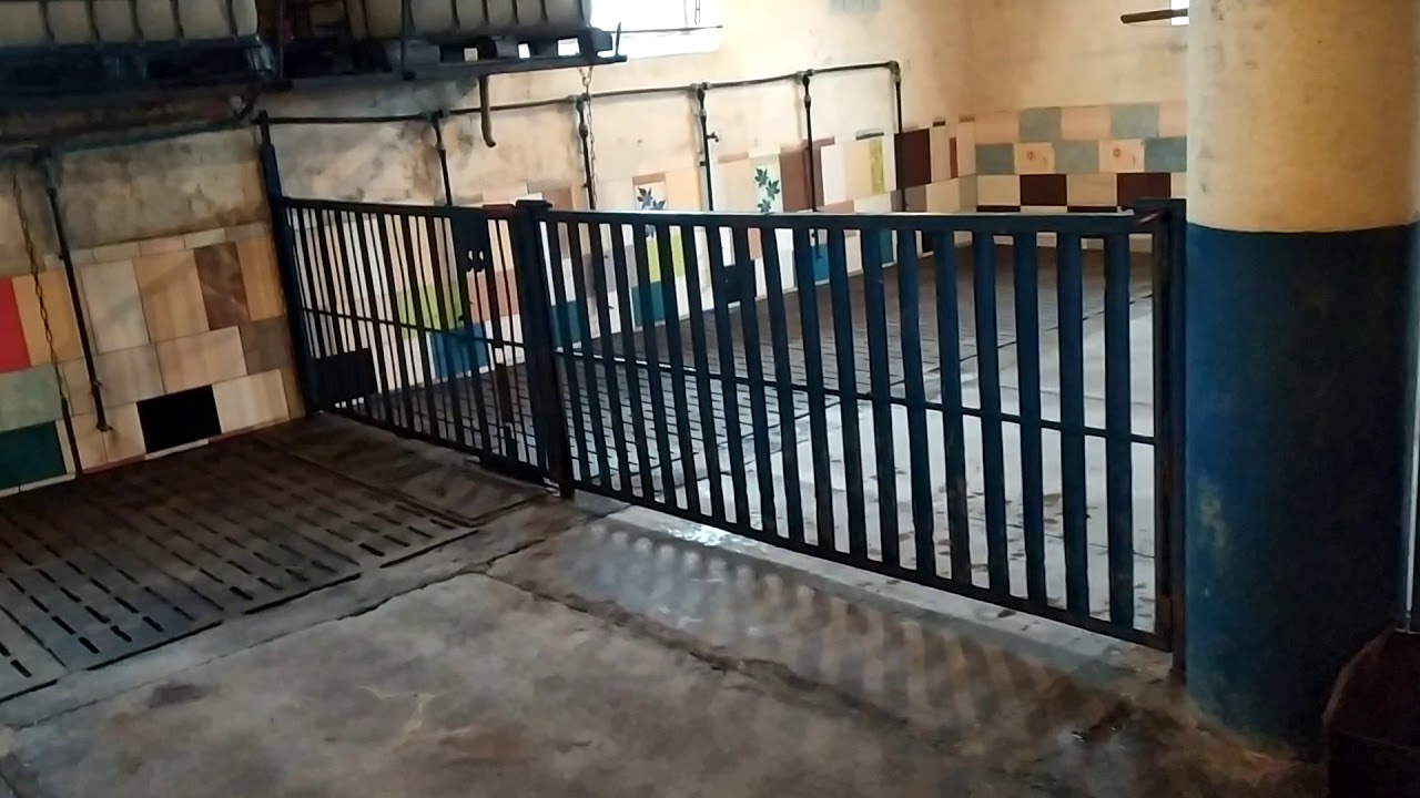 Мій міні свинарник .Мой мини свинарник. My mini piggery