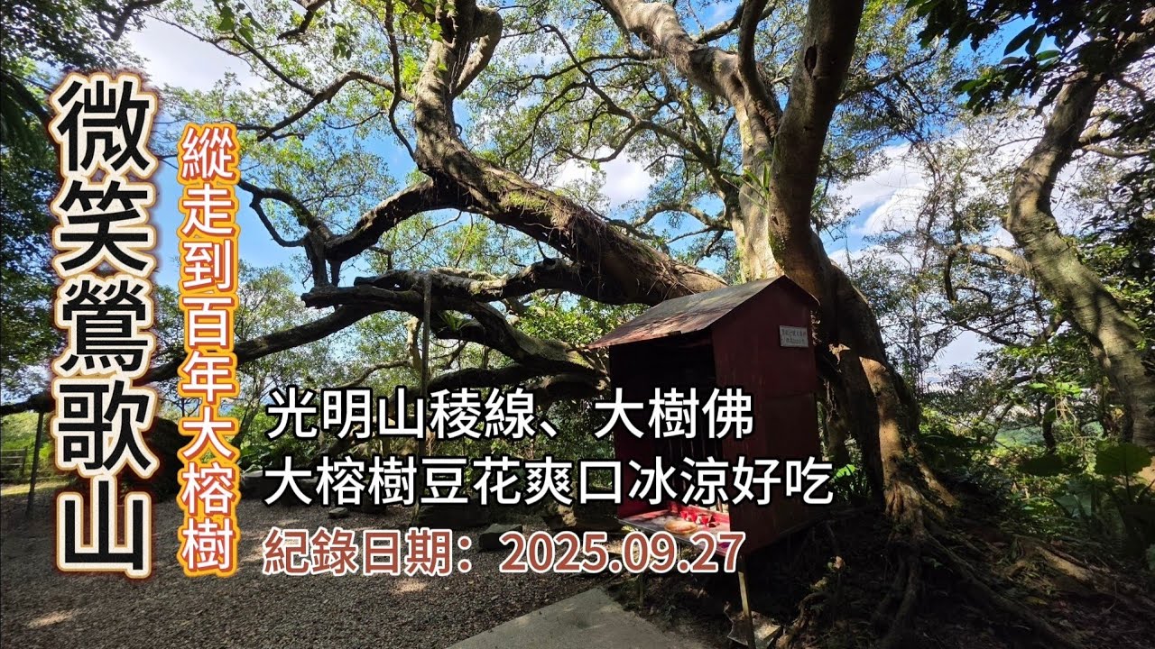 「微笑山線」,鶯歌縱走到百年大榕樹,光明山稜線、大樹佛、彰埔坑山,大榕樹豆花爽口冰涼好吃,可搭火車到鶯歌車站起登-FP274