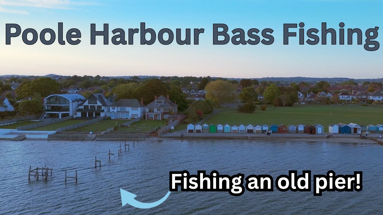 Lure Fishing For Bass - Poole Harbour Dorset