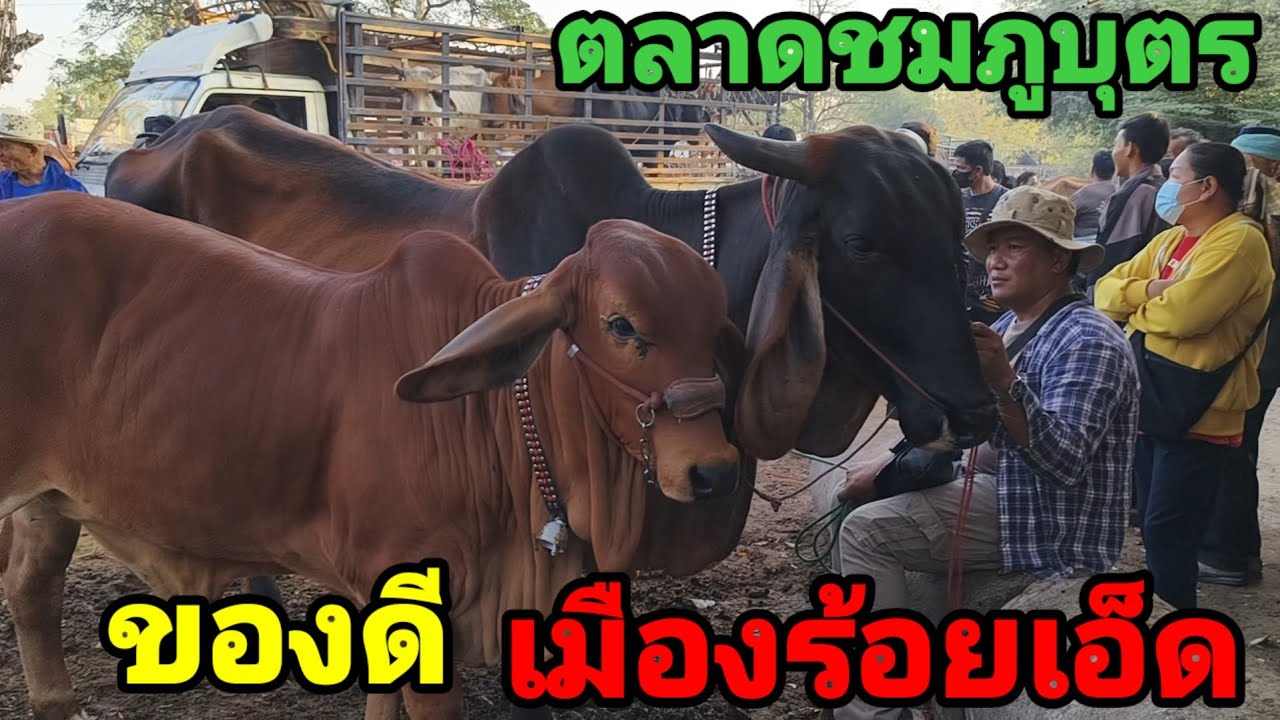2 กุมภาพันธ์ ค.ศ. 2026