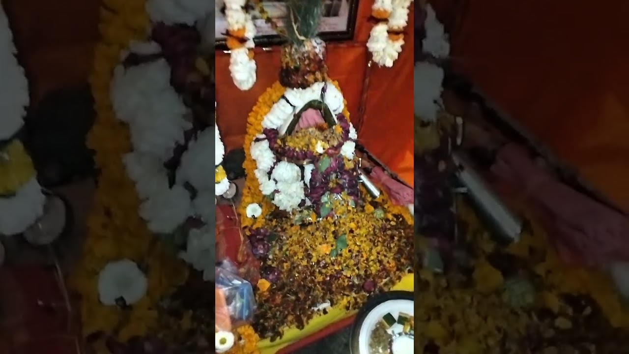 शिव नवरात्रि सप्तम दिवस काशी के केदारश्वरगौरी हवनात्मक महारुद्र यज्ञ की आरती।