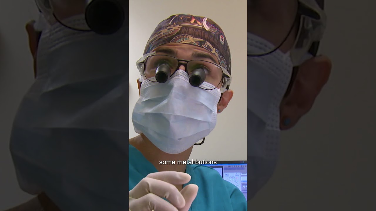 Dog Gets Braces to Help Mouth Pain 😬 #dog #short #bondivet