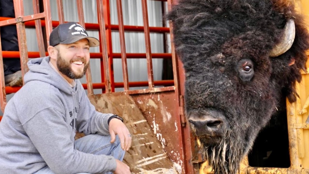 Handling This BIG Fella Wasn't Easy!