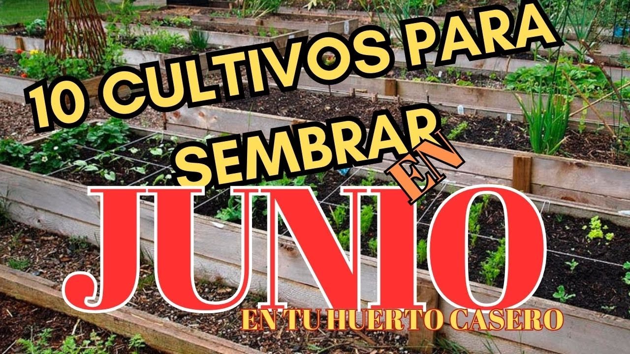 Qué sembrar en Junio