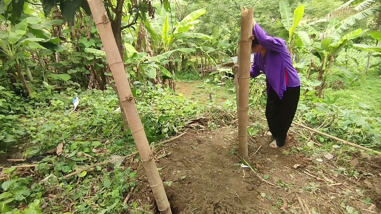 A day of making chicken coops for highlanders, Ly Tu Chau