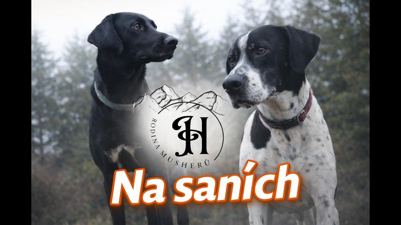 Zkouška sněžných saní a hraní se sněhem | Rodina Musherů