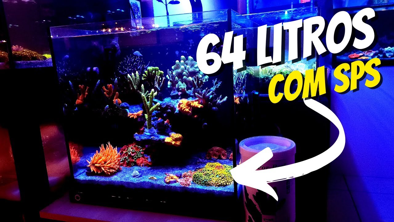 Nano Reef de 64 litros com SPS utilizando um único produto